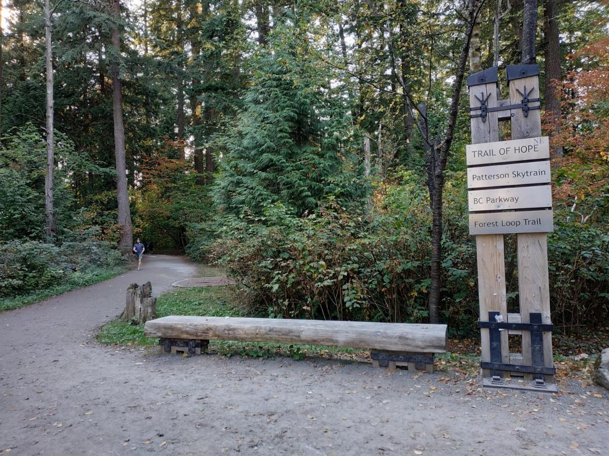 Private Suite W King Bed, Ground Level, Naturally Bright Vancouver Zewnętrze zdjęcie